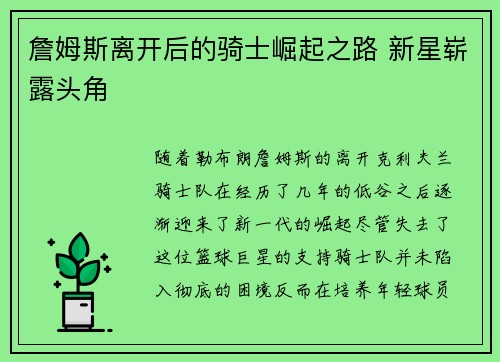 詹姆斯离开后的骑士崛起之路 新星崭露头角